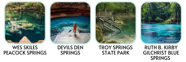 Local Springs